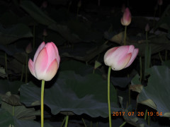DSCN0016.JPG