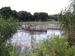 DSCN9960.JPG