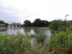 DSCN9961.JPG
