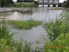 DSCN9962.JPG
