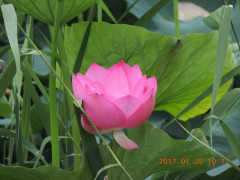 DSCN0025.JPG
