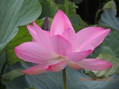 DSCN0008.JPG
