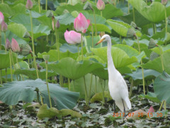 DSCN9968.JPG