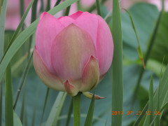 DSCN0026.JPG