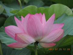 DSCN0033.JPG