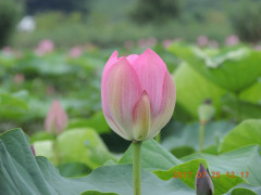 DSCN0032.JPG