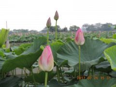 DSCN9970.JPG