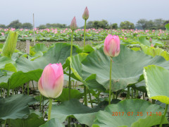 DSCN0028.JPG