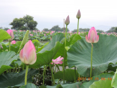 DSCN9999.JPG
