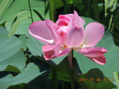 DSCN0003.JPG