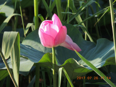 DSCN0033.JPG