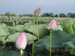 DSCN0029.JPG