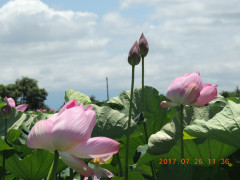 DSCN0004.JPG
