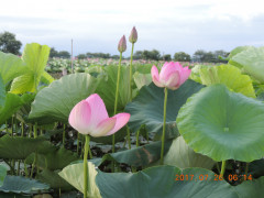 DSCN9978.JPG