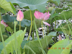 DSCN9982.JPG