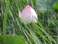 DSCN0019.JPG