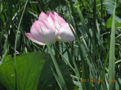 DSCN0015.JPG