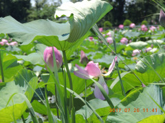 DSCN0006.JPG