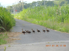 DSCN0024.JPG