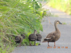 DSCN0026.JPG