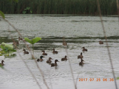 DSCN0020.JPG