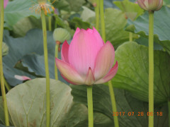 DSCN9980.JPG