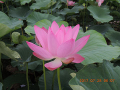 DSCN9972.JPG