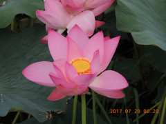 DSCN9982.JPG