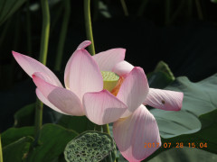 DSCN9966.JPG