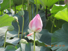 DSCN9964.JPG