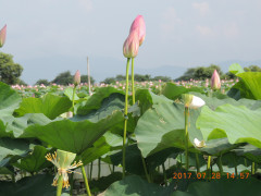 DSCN9958.JPG