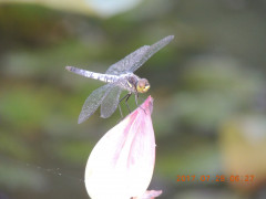 DSCN9993.JPG