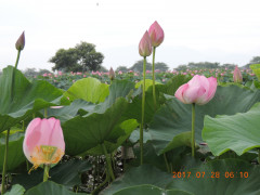 DSCN9975.JPG