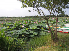 DSCN9982.JPG