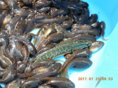 DSCN9986.JPG