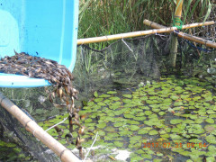 DSCN9989.JPG