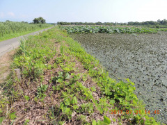 DSCN9998.JPG