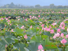 DSCN0022.JPG
