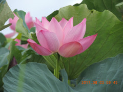 DSCN0054.JPG