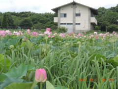 DSCN0056.JPG