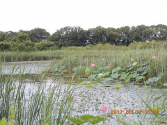 DSCN0062.JPG