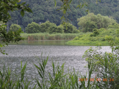 DSCN0039.JPG