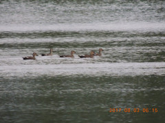 DSCN0035.JPG