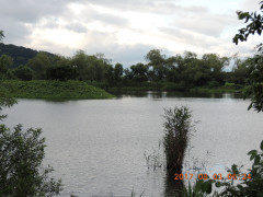 DSCN0038.JPG