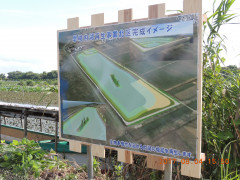 DSCN9959.JPG