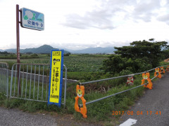 DSCN9962.JPG