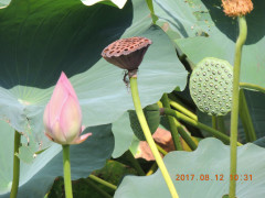 DSCN9972.JPG