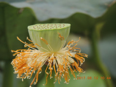DSCN9975.JPG