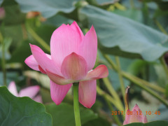 DSCN9976.JPG