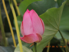 DSCN9980.JPG
